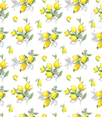 limony 13485 1